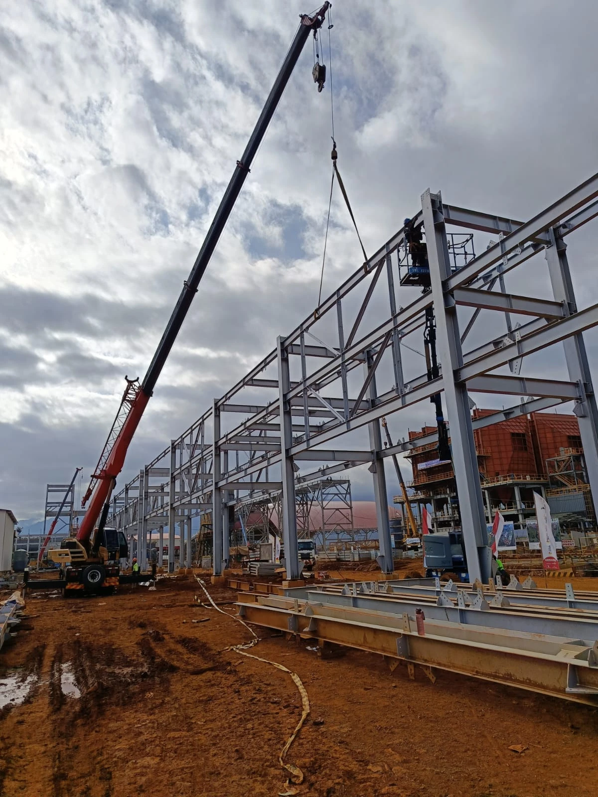 PHIBA JAYA ABADI - ICUK POERNOMO